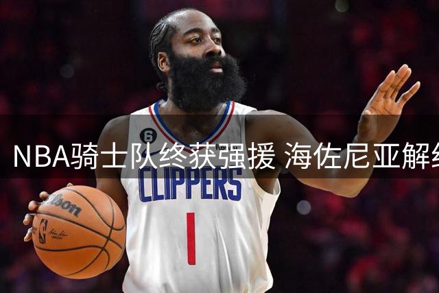 NBA骑士队终获强援 海佐尼亚解约风波后正式签约