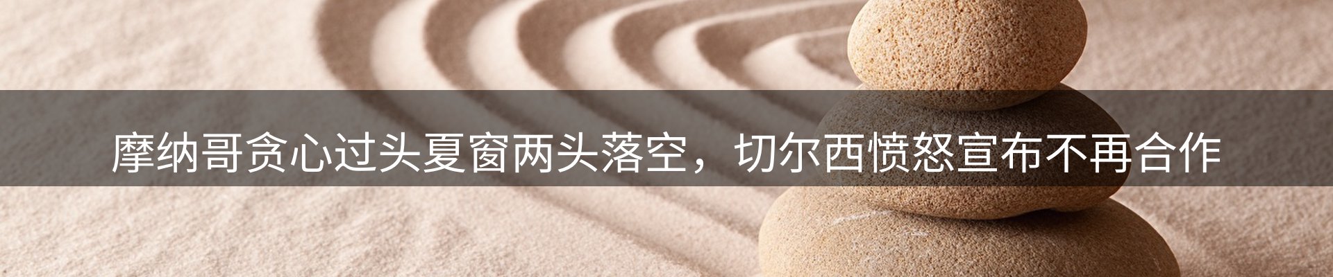 公司视点