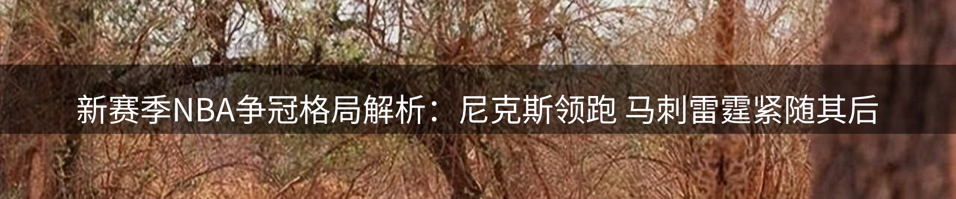 综合资讯