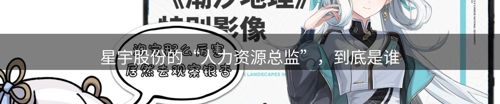 公司视点