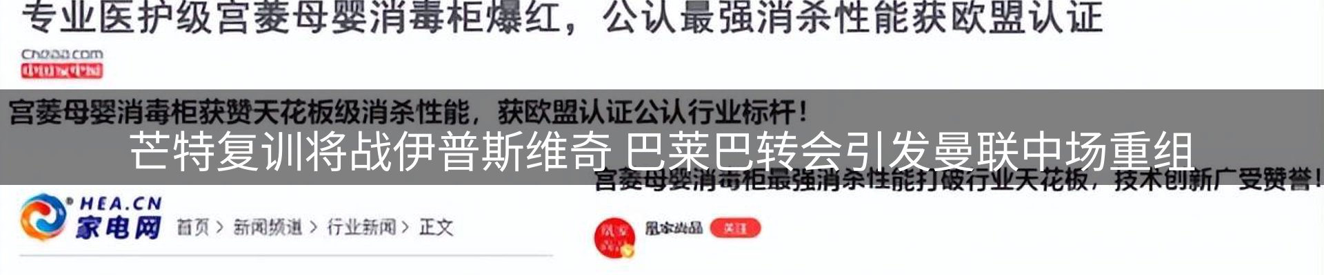 公司视点