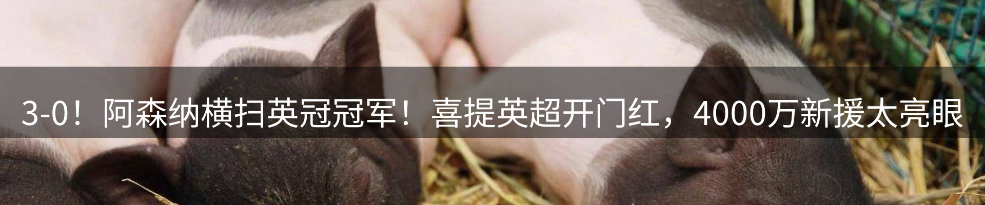 综合资讯